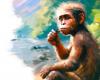 The debated legacy of Lucy, the most famous australopithecus