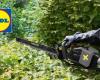 Lidl cuts the price of this PARKSIDE® hedge trimmer