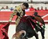 The question of the day. Should bullfighting be banned for under 16s?