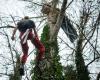 VIDEO. “I want to see if they are ready to kill people”, a “squirrel” threatens to hang itself on the LGV construction site