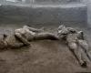 Pompeii: DNA analyzes reveal the true story of victims of the Vesuvius eruption