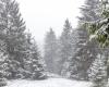 Snowfall limit continues to fall: Will winter even snow in the north? | News