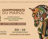 Moroccan dressage, show jumping and endurance championships: the latest verdicts