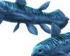 Discovery of a new extinct species of coelacanth