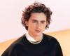 Anecdote: That time Timothée Chalamet was asked to gain weight