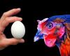 Which is the egg or the chicken? UNIGE has the answer