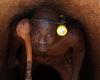 Mali: a debate to bring gold out of the tunnel of “mysticism which saddens us”