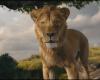 Mufasa takes some liberties with his latest trailer