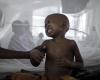 Alarming spread of cholera and dengue fever in Sudan