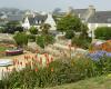 Forget Ouessant or Molène, this little-known island in Finistère will delight you for your holidays