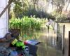 after eleven floods in one year, the fed up of these gardeners, who are asking for 30,000 euros in compensation