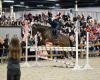 Maine-et-Loire. Confirmed success for this 8th edition of the Angers Horse Show