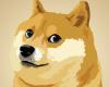 Dogecoin Peaks at 43 Cents on Continued Election Glee