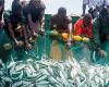 END OF EU-SENEGAL FISHERIES AGREEMENTS A WHEW OF RELIEF