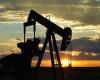 According to OPEC: Growth in oil demand revised downwards in 2024-25