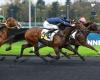 Kaya Dream wins by a narrow margin in the Prix Cénérie Forcinal (Gr.II)