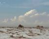 Saudi Arabia: astonishing images of the desert covered in hail