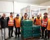 3,000 volunteers mobilized from November 22 to 24 for the national collection of the Morbihan Food Bank