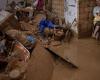 Spain: health problems in areas affected by floods