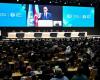 At COP29, countries adopt rules for the carbon credit market