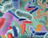 The intestinal microbiome, a key to predicting rheumatoid arthritis?