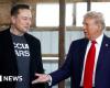 Trump picks Elon Musk to advise on how to ‘dismantle’ bureaucracy