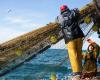 Is sustainable fishing still possible? – Liberation