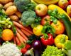 Federal Council opposes food initiative