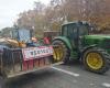 Toulouse. Farmers are preparing a large-scale mobilization by the end of the month