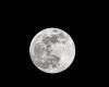 Super Beaver Moon 2024: what you need to know about this November full moon