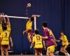 VOLLEYBALL: A difficult weekend for Le Creusot…