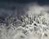 Weather: the cold hit Aveyron this Wednesday morning, negative temperatures recorded in the department