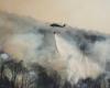 More fires, less water: New York region in the grip of severe drought: News