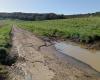 Residents of Dordogne denounce the state of the road damaged by the delivery of tonnes of carrots