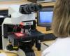 The Department at the forefront of uterine cancer screening – A look back at… – The Institution