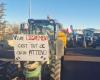 Hérault farmers plan to mobilize next week