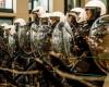 Police tensions in the center of Brussels on the sidelines of Bardella’s visit (photos and videos)