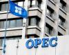 OPEC revises its growth forecasts downwards