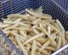 fryers exported from China suspected of espionage