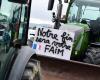 In Aude, angry farmers wall up the public finance center