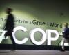 We explain to you what the carbon credit markets are, which were provided with a new framework at COP29