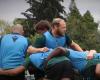 RUGBY. Terrible relapse after only three Top 14 matches for Mickaël Capelli (Pau)