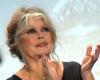 Married four times, Brigitte Bardot talks about her love life: “I have never…”