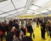 Five good reasons to go to the Périgueux Gourmet Book Festival