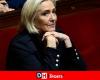 RN trial: what consequences for Marine Le Pen?