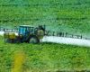 Swiss agriculture was less polluting in 2023