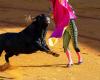 Bullfighting and child protection: the Senate opposes the ban for minors