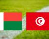 Tunisia: on which channel and at what time to watch the match live?