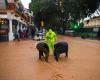 After the lifting of the red alert, the terrifying images of new floods in Spain