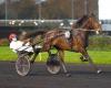 Thursday 14/11 in Vincennes – Prix Agathe: The Green Ticket is there